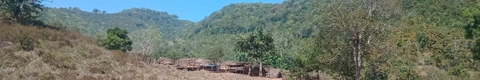 A kutia village