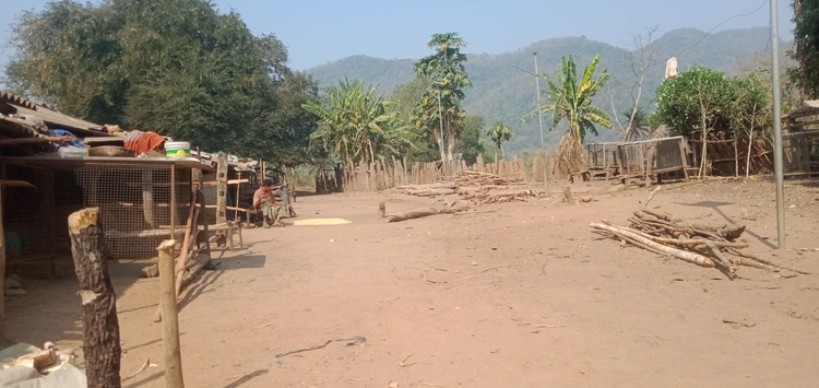 ମାଇ କଟୁ ନାଜୁ